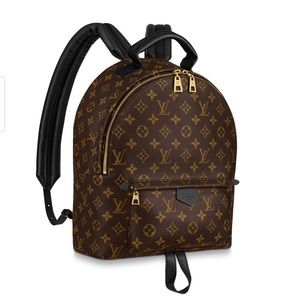 Louis Vuitton Palm Springs Backpack Size M…